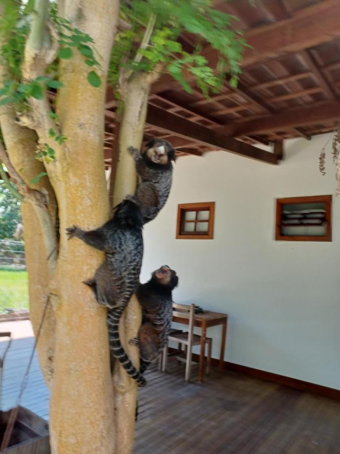 Manjuba Pousada - Taipu De Fora Taipus de Fora Exteriér fotografie